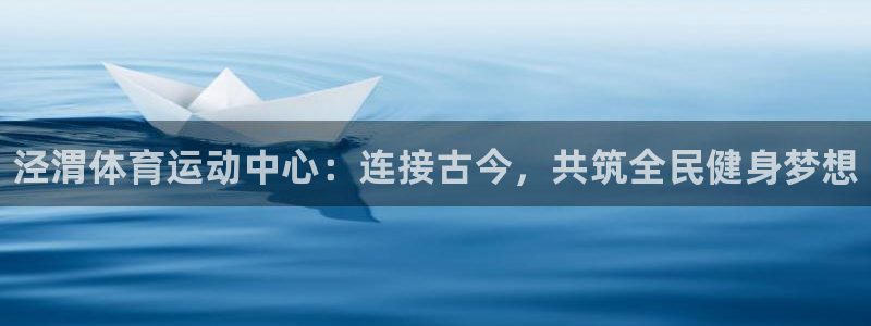 vsport体育官方正版app娱乐代理怎么样