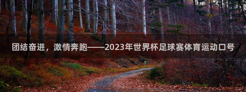 vsport体育官网下载：团结奋进，激情奔跑——2023年世