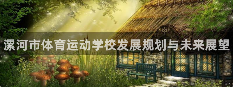 vsport体育官方正版app官网：漯河市体育运动学校发展规