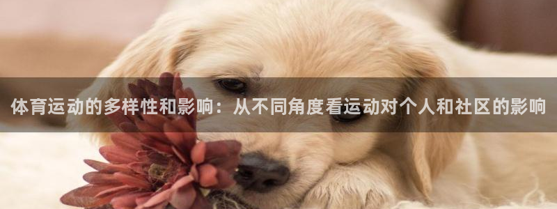 vsport体育官网下载平台注册要钱吗是真的吗：体育运动的多