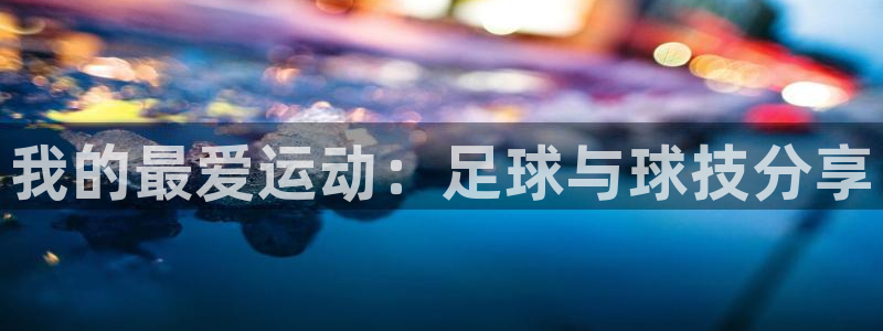 vsport体育官方正版app官网