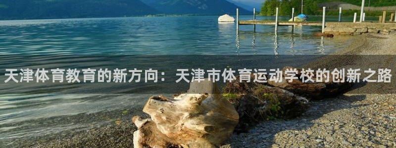 vsport体育官方正版app集团官网网址：天津体育教育的新
