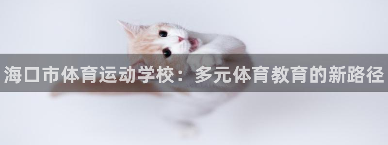 vsport体育官方正版app集团logo：海口市体育运动学