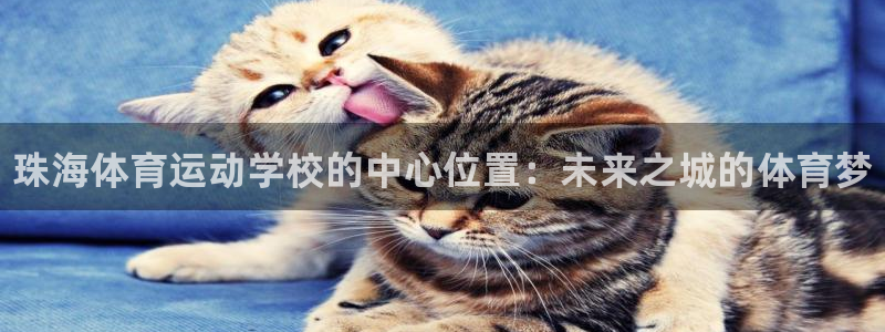 vsport体育官网下载招商电话是多少啊：珠海体育运