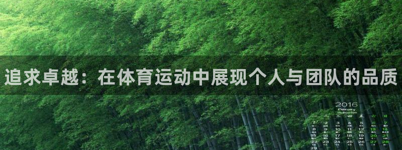 vsport体育官网下载招商电话号码：追求卓越：在体