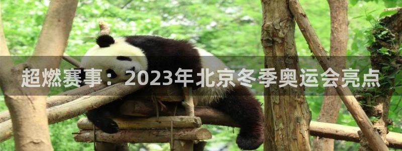 vsport体育官网下载平台注册：超燃赛事：2023