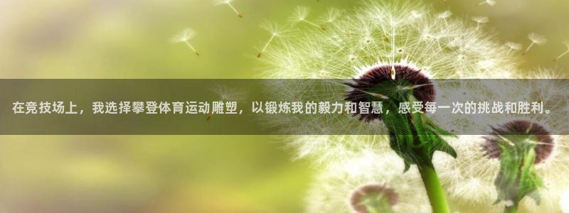 vsport体育官方正版app神州：在竞技场上，我选