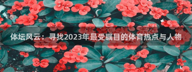 vsport体育官网下载招商电话号码查询是多少：体坛风云：寻