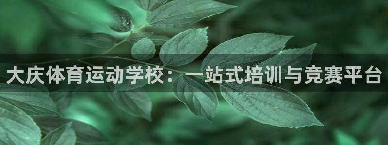vsport体育官方正版app集团logo：大庆体育运动学校