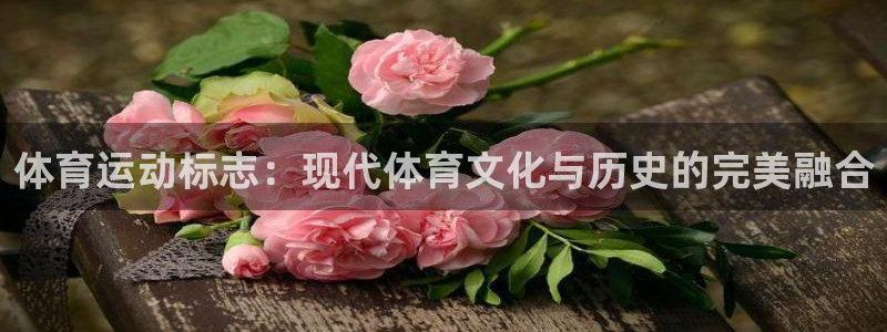 vsport体育官方正版app新能源：体育运动标志：现代体育