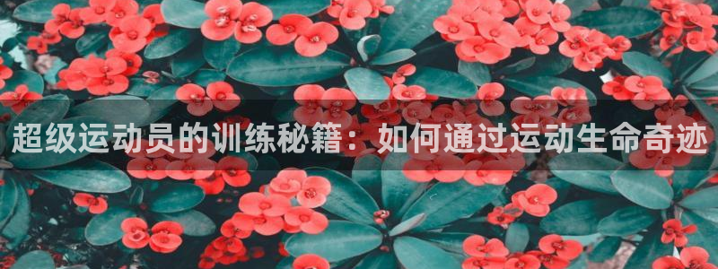 vsport体育官网下载软件：超级运动员的训练秘籍：如何通过