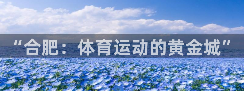 vsport体育官网下载招商电话号码