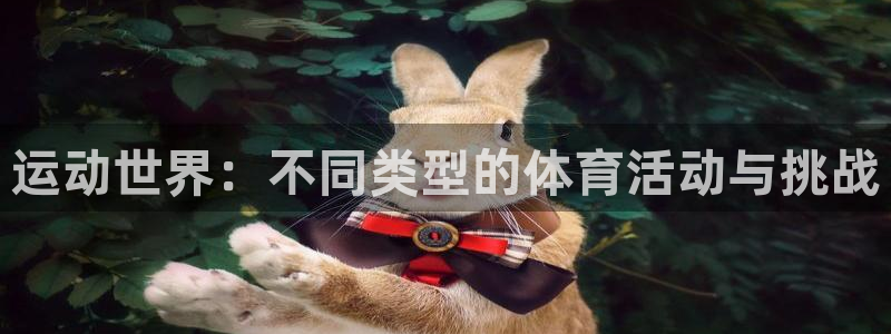 vsport体育官方正版app新能源