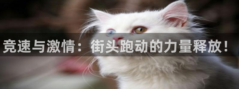 vsport体育官网下载招商电话是多少