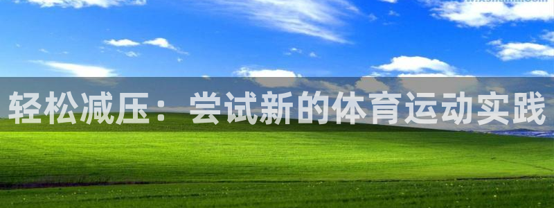 vsport体育官网下载是干嘛的公司：轻松减压：尝试新的体育