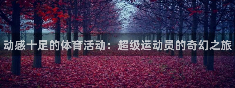 vsport体育官方正版app集团官网网址：动感十足的体育活