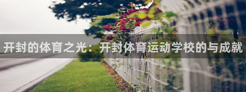 vsport体育官方正版app集团E.ON：开封的体育之光：