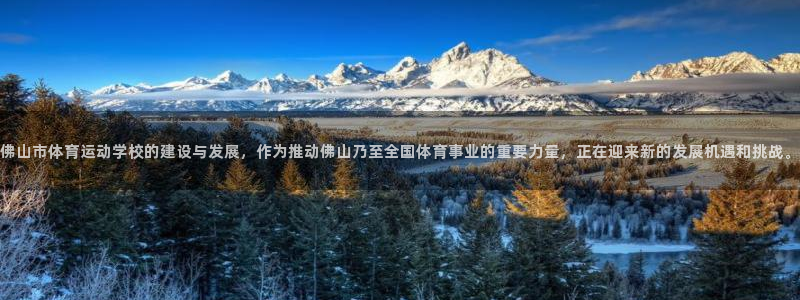 注册vsport体育官方正版app：佛山市体育运动学校的建设