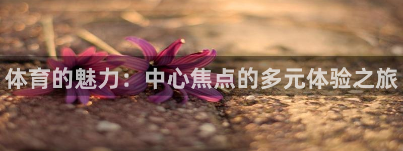 vsport体育官方正版app娱乐首页官网下载：体育