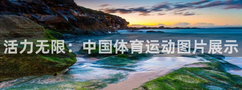 vsport体育官方正版app集团简介：活力无限：中