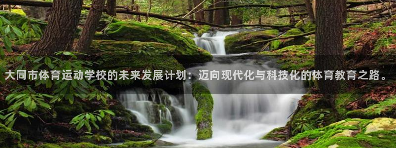 vsport体育官方正版app集团：大同市体育运动学校的未来