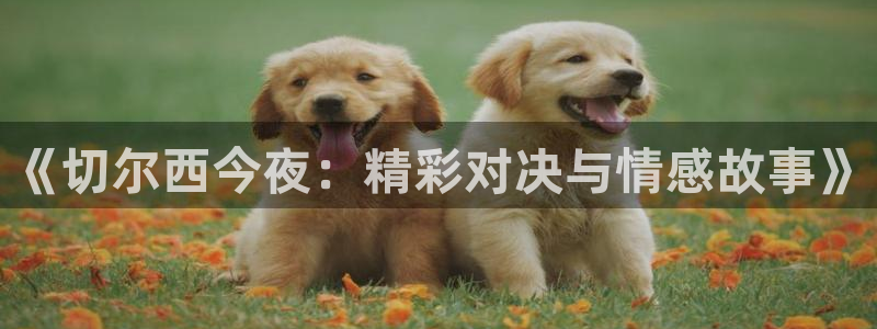 888看球直播nba：《切尔西今夜：精彩对决与情感故事》